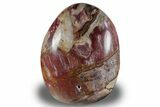 Free-Standing, Polished Petrified Wood - Madagascar #256722-1